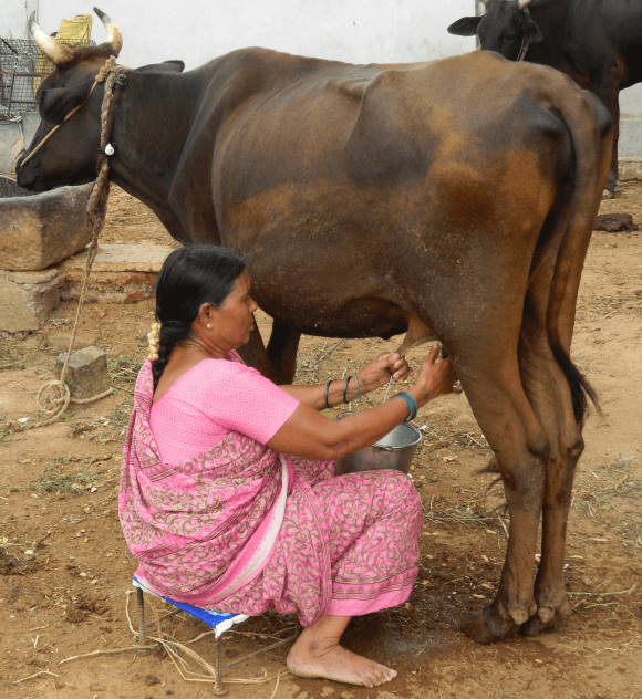 AF Biogas Project